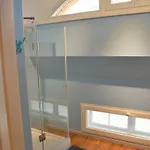 Deichkind On The Elbe Dike