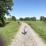 Deichkind On The Elbe Dike