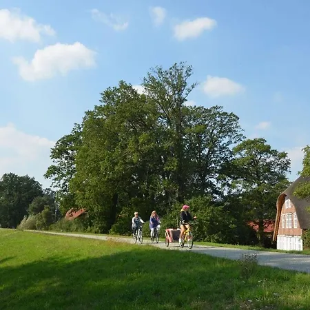 Deichkind On The Elbe Dike