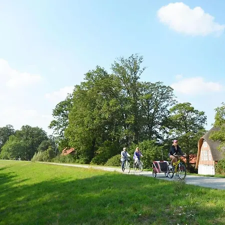 Deichkind On The Elbe Dike *