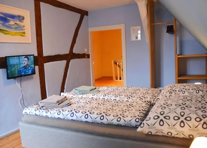 Deichkind On The Elbe Dike *