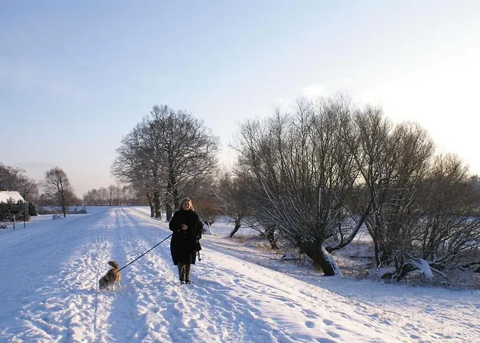 Deichkind On The Elbe Dike * Modlich