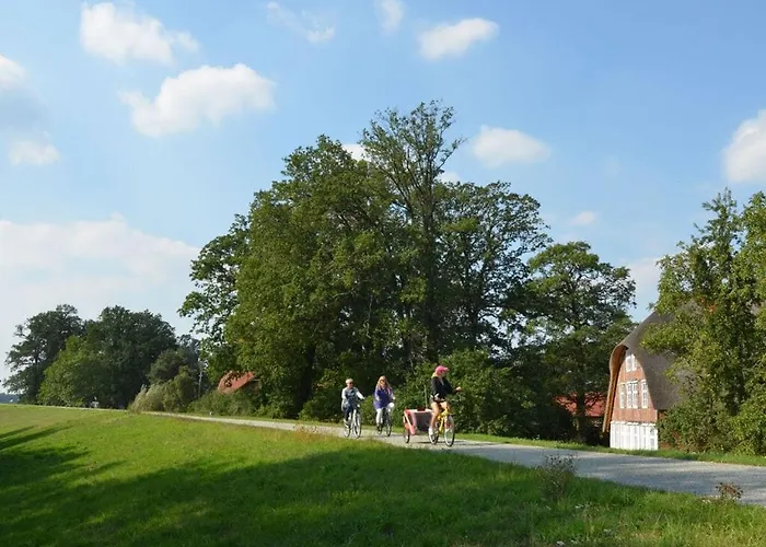 Deichkind On The Elbe Dike