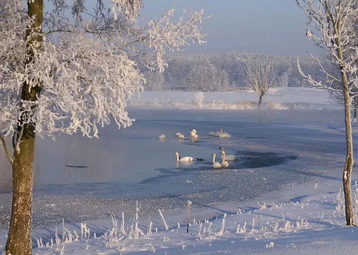 Deichkind On The Elbe Dike Apartment *