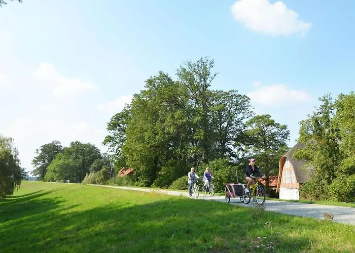 Deichkind On The Elbe Dike *