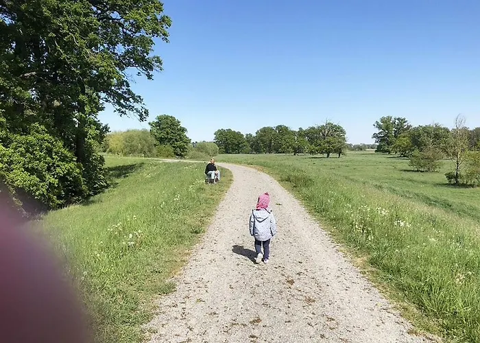 Deichkind On The Elbe Dike